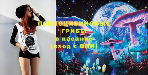 ешки Бугульма