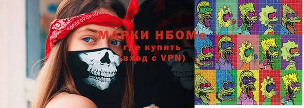 apvp Бородино