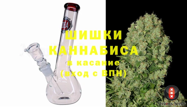 apvp Бородино