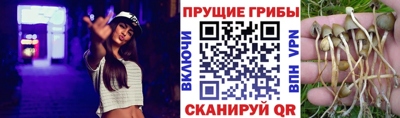 Галлюциногенные грибы MAGIC MUSHROOMS  hydra онион  Вязники 